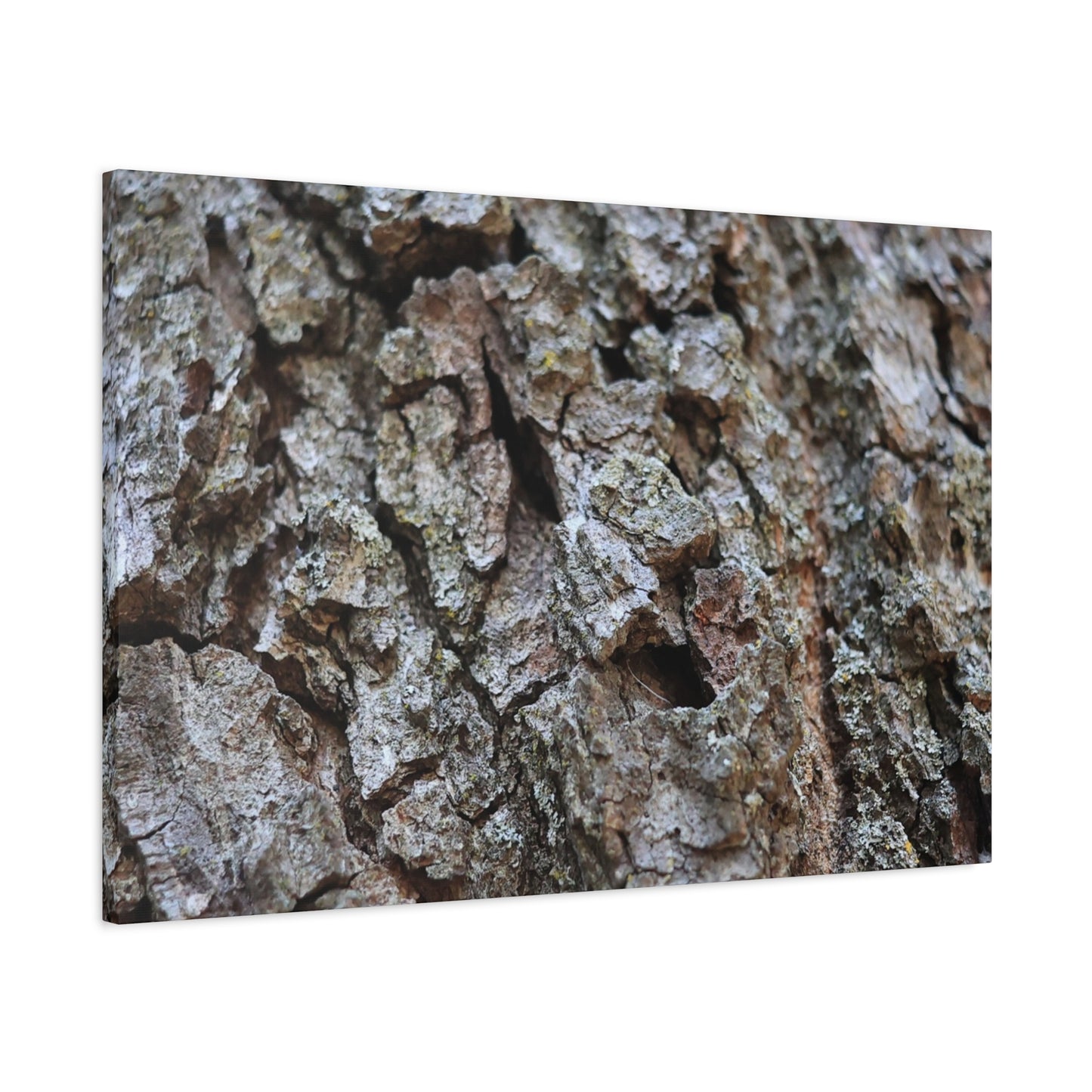 Cracked Echoes - Unique Frameless Canvas Wall Art