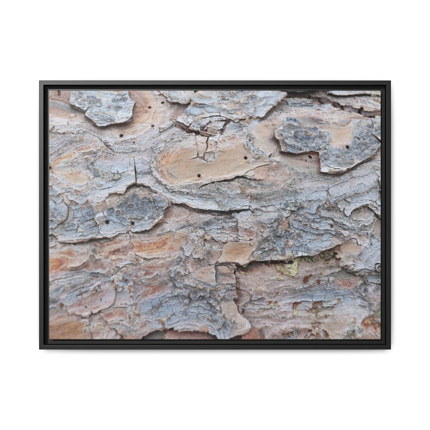 Peeling Memories - Unique Stretched Canvas Wall Art