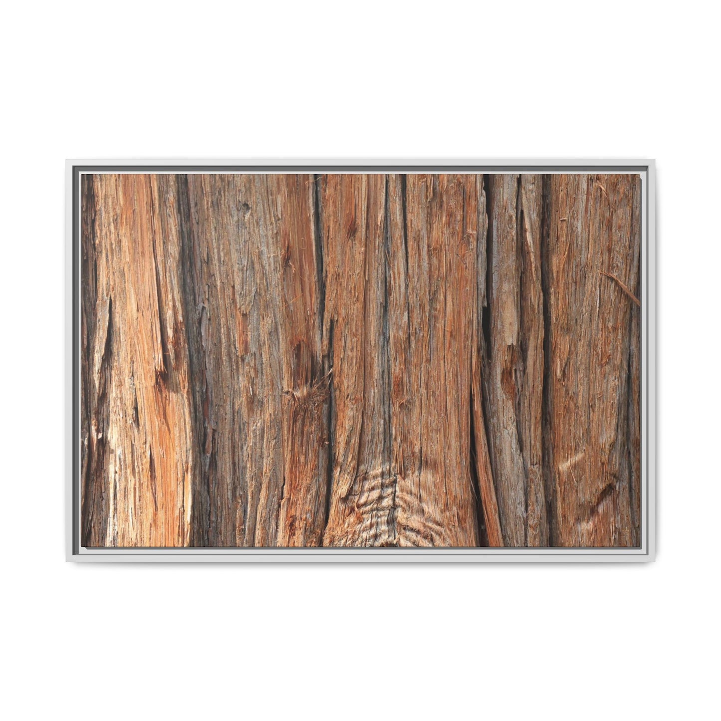 Echoes of Timber - Unique Stretched Canvas Wall Art