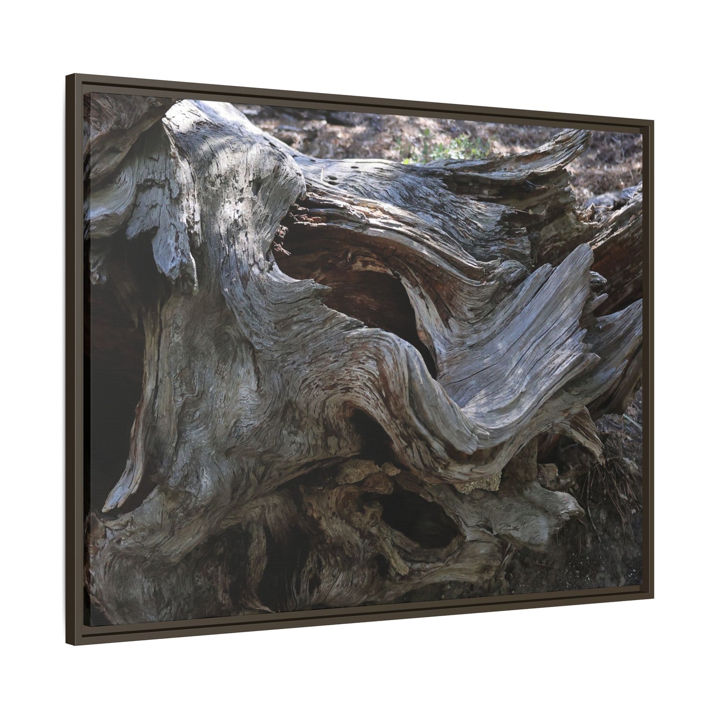 Twisted Memories - Unique Stretched Canvas Wall Art