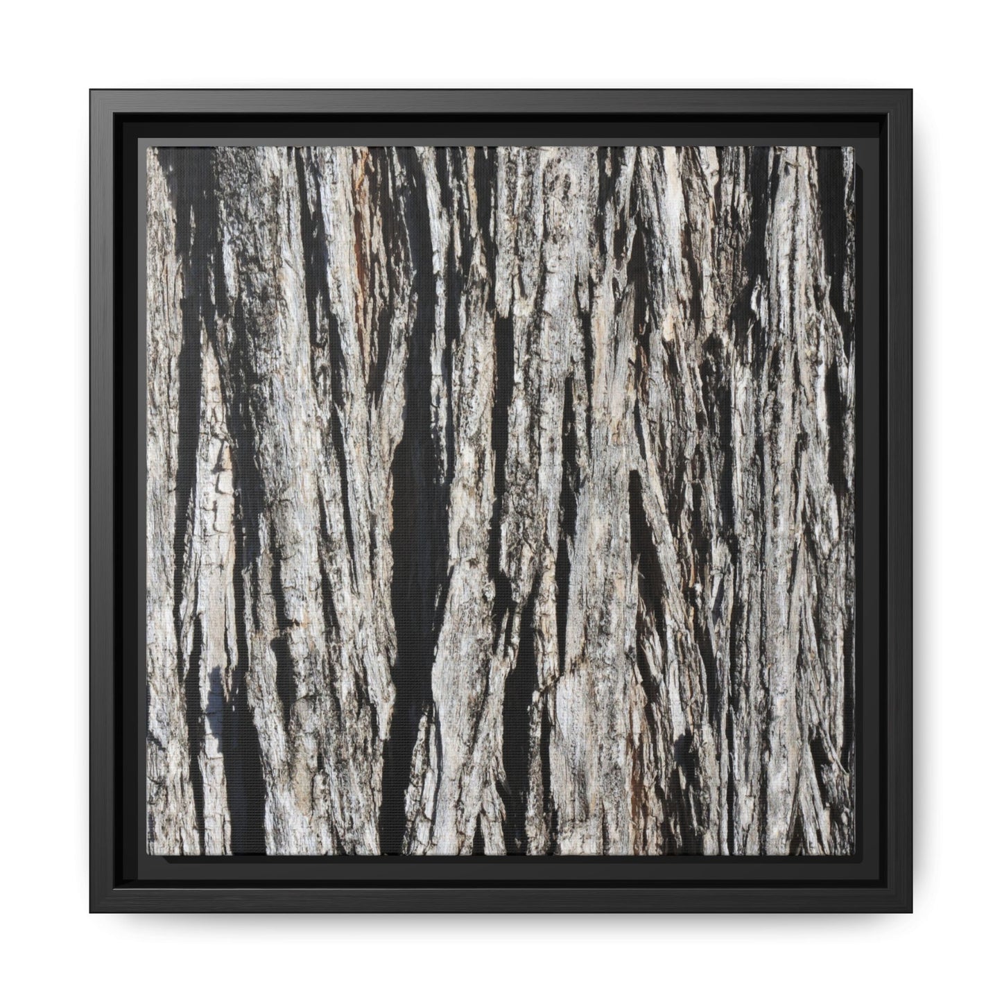 Bark Lines - Unique Stretched Canvas Wall Art