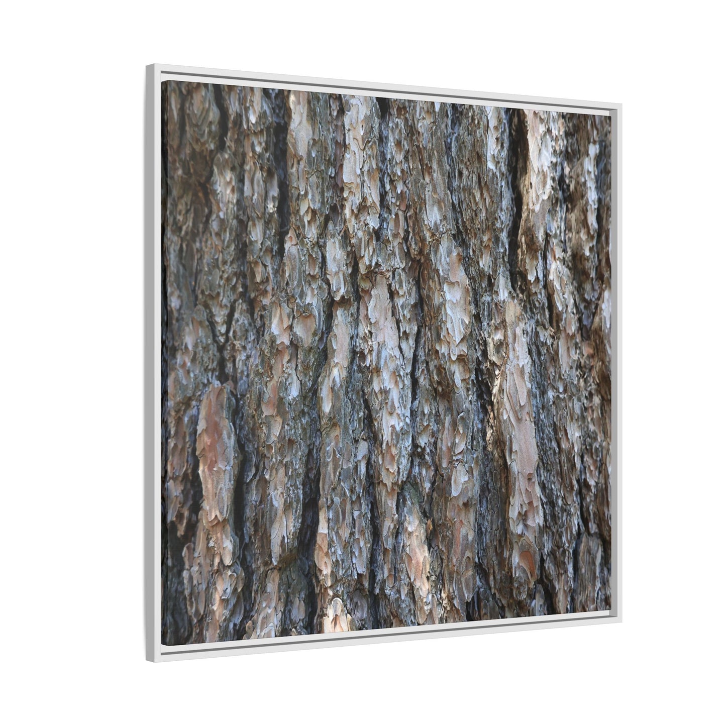 Bark Whispers - Unique Stretched Canvas Wall Art