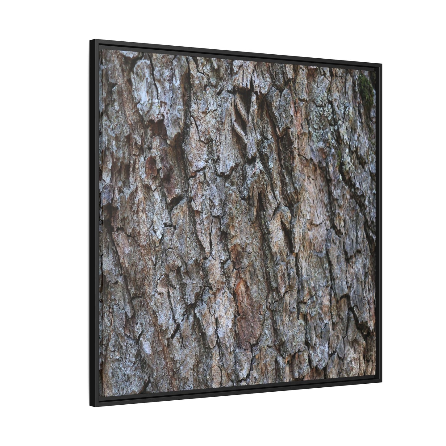 Woodland Skin - Unique Stretched Canvas Wall Art