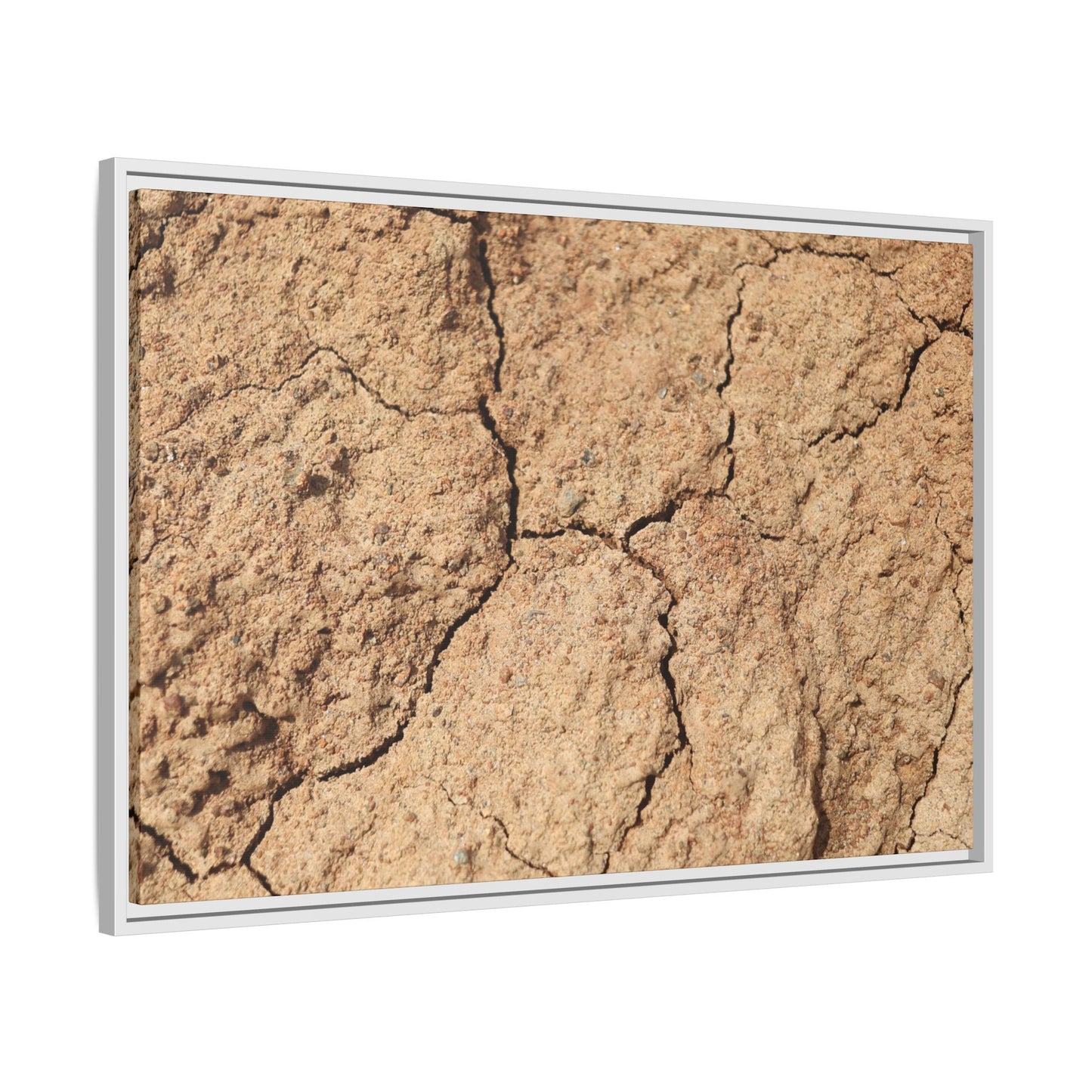 Parched Land - Unique Stretched Canvas Wall Art