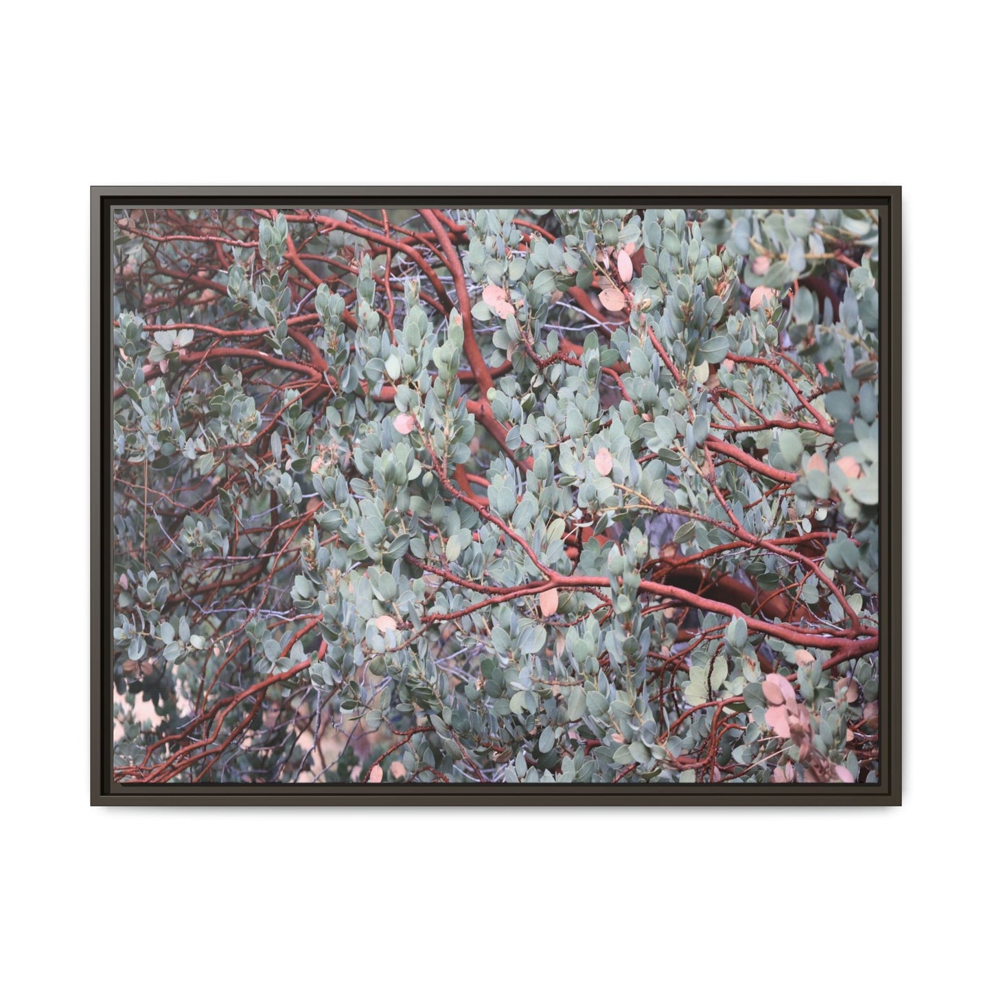 Whispers of Sage - Unique Stretched Canvas Wall Art