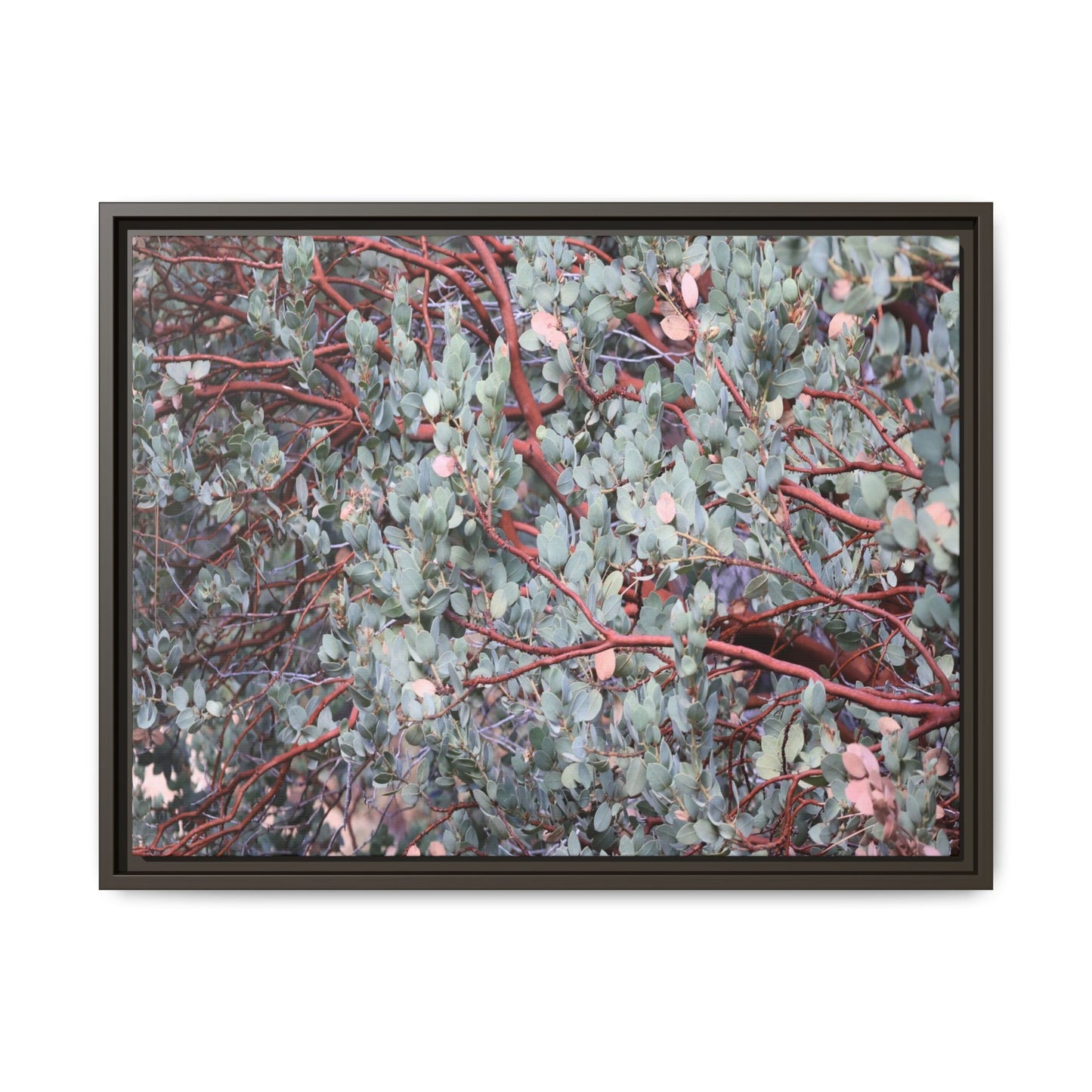 Whispers of Sage - Unique Stretched Canvas Wall Art