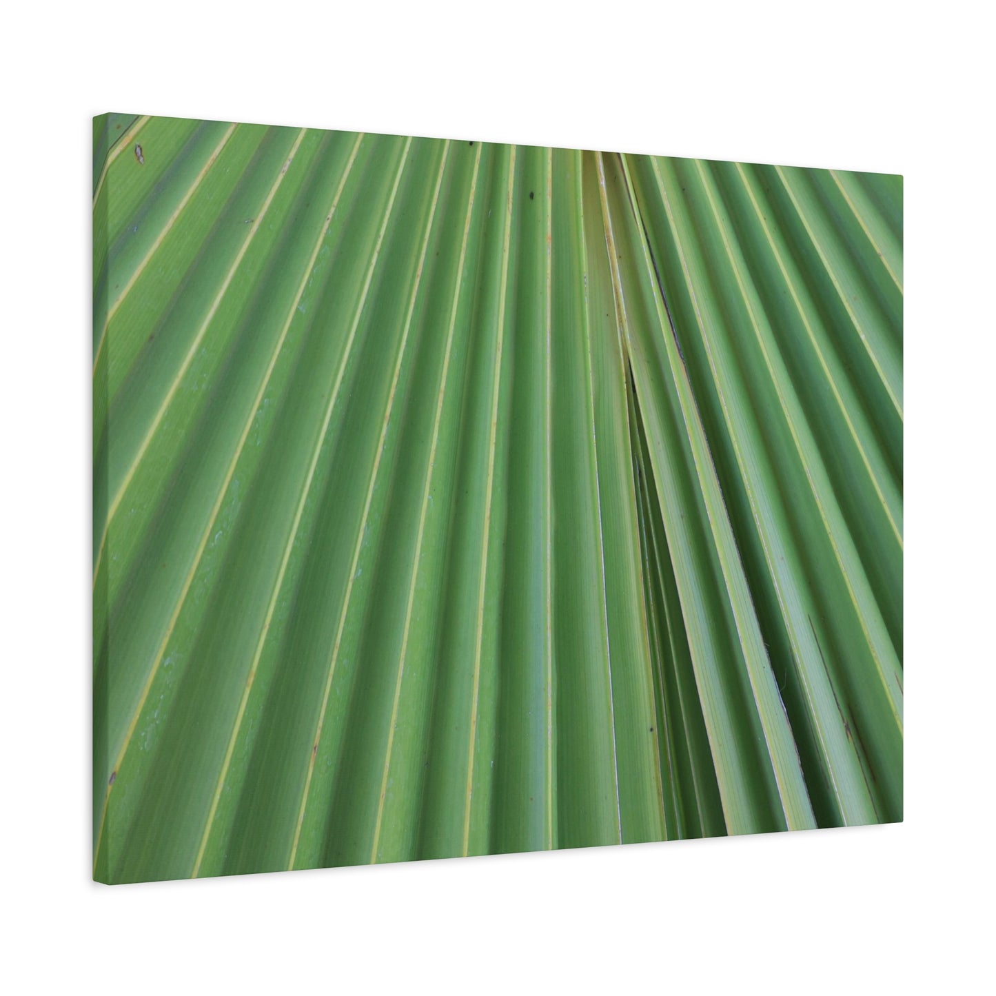 Fan of Green - Unique Frameless Canvas Wall Art