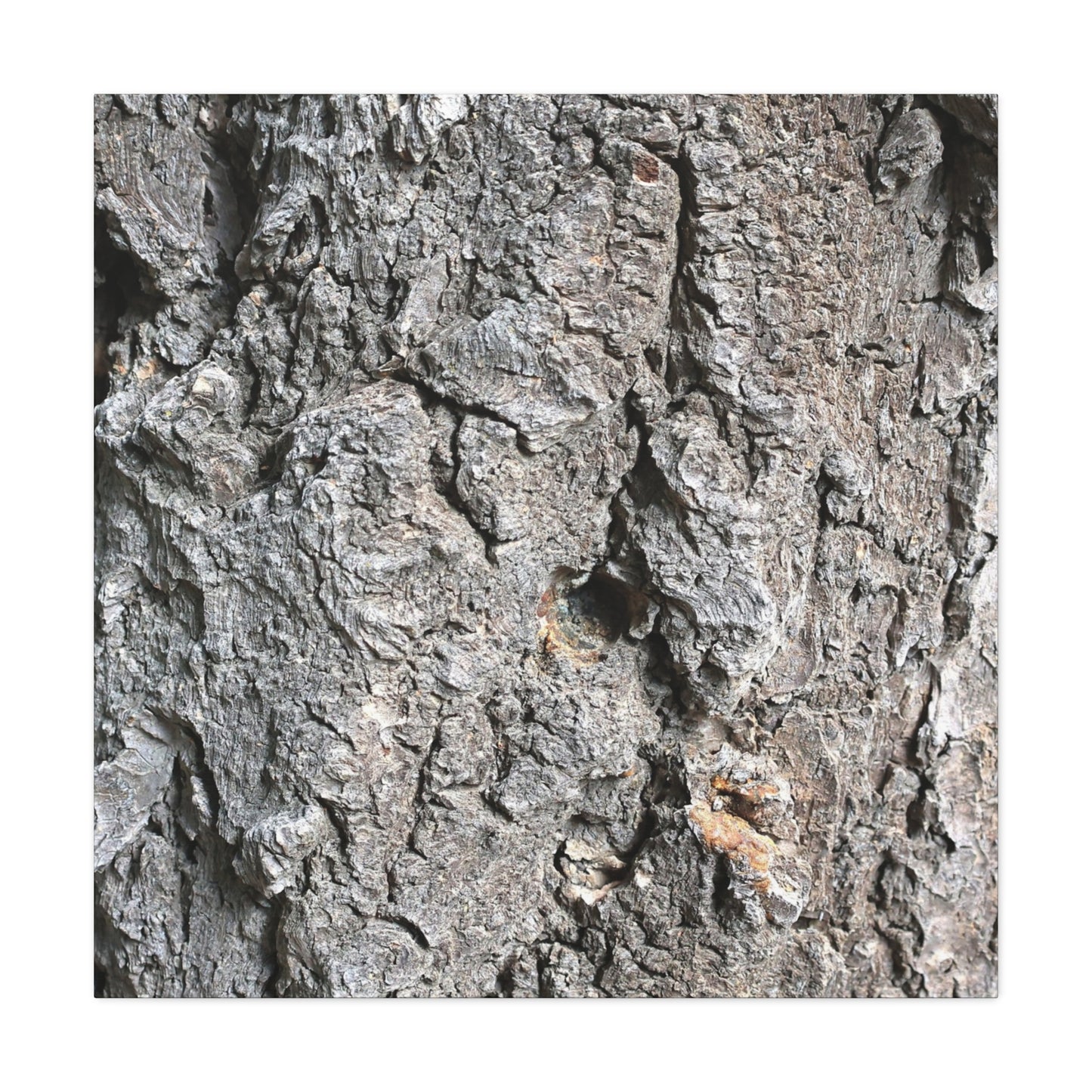 Elemental Canvas - Unique Frameless Canvas Wall Art