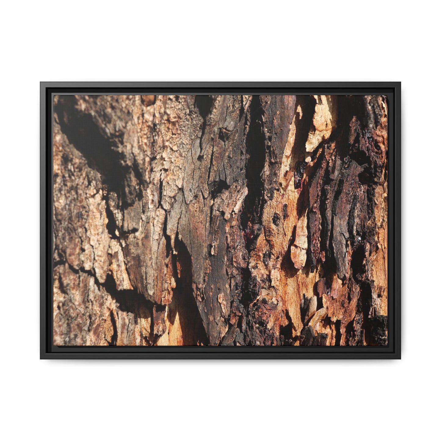 Rugged Beauty - Unique Stretched Canvas Wall Art