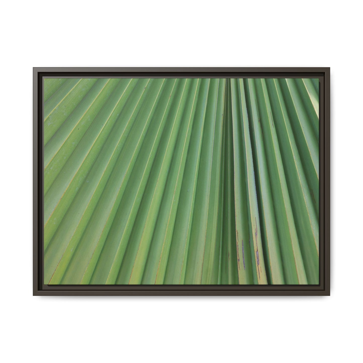 Emerald Rays - Unique Stretched Canvas Wall Art