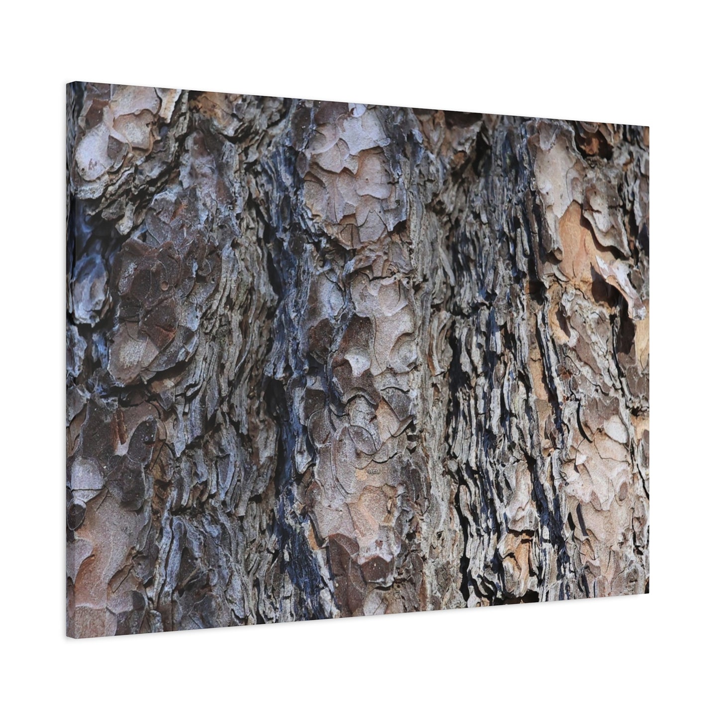 Bark's Rugged Symphony - Unique Frameless Canvas Wall Art