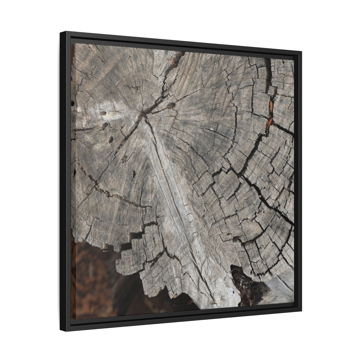 Time's Signature - Unique Stretched Canvas Wall Art