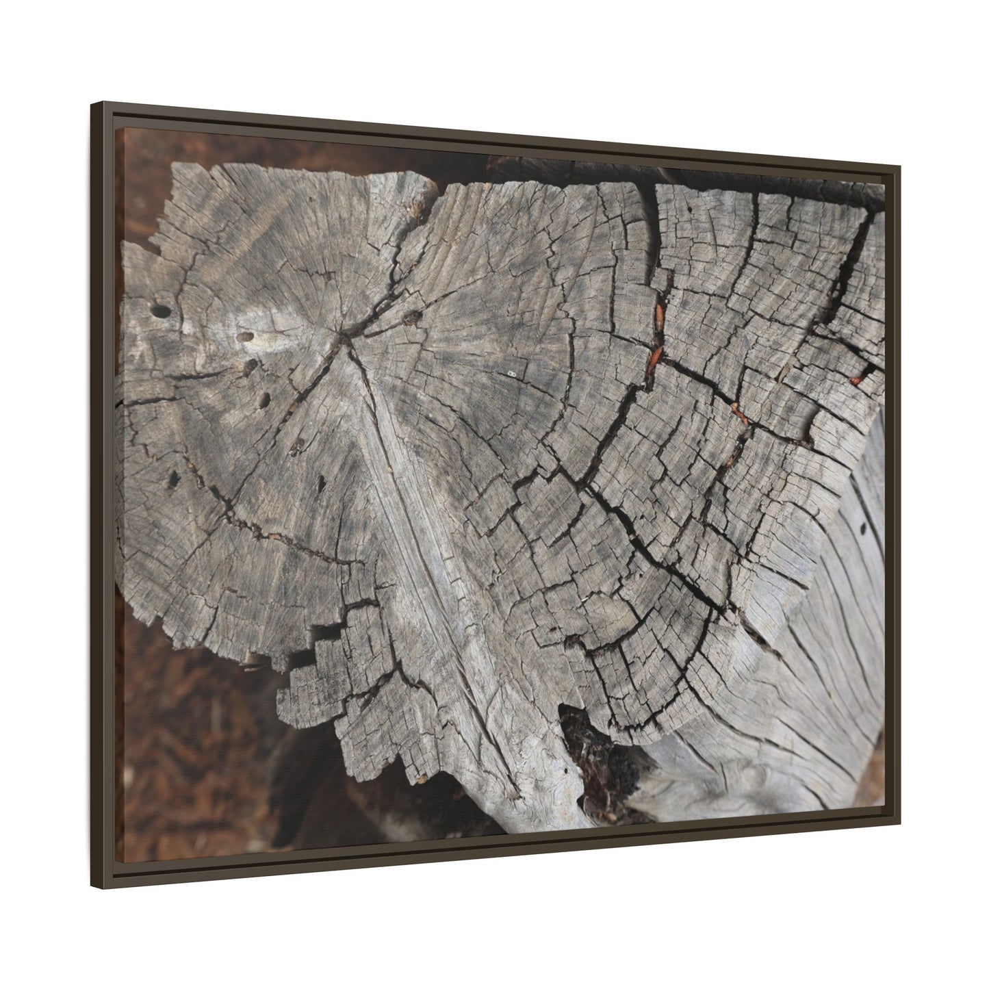 Time's Signature - Unique Stretched Canvas Wall Art
