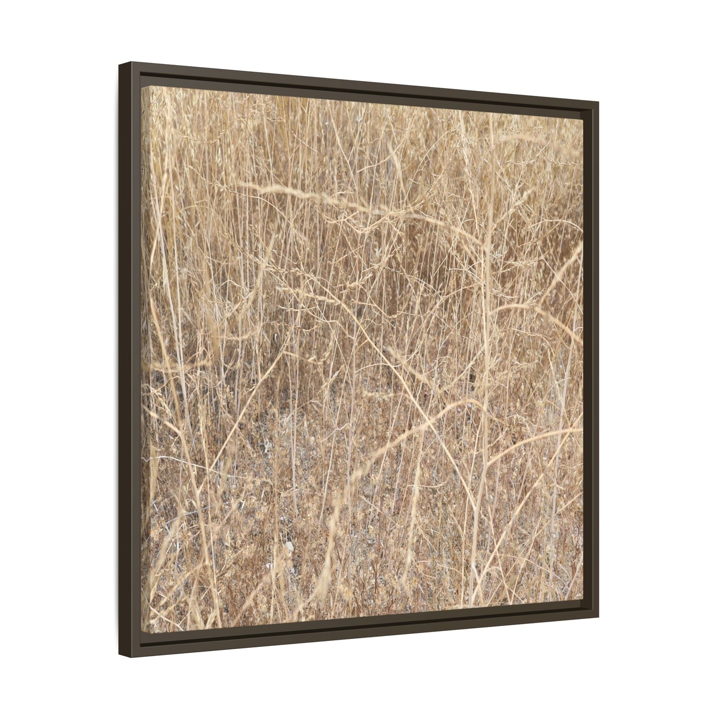 Golden Stalks - Unique Stretched Canvas Wall Art
