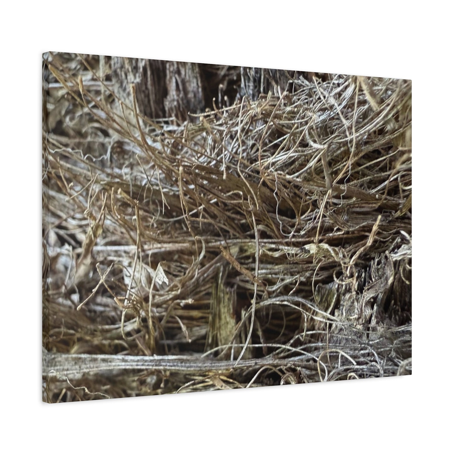 Whispers in Dry Grass - Unique Frameless Canvas Wall Art