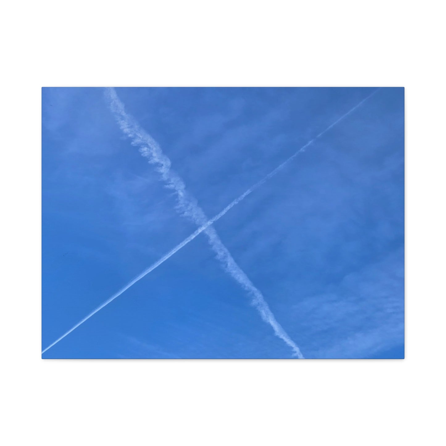Crossing Paths - Unique Frameless Canvas Wall Art