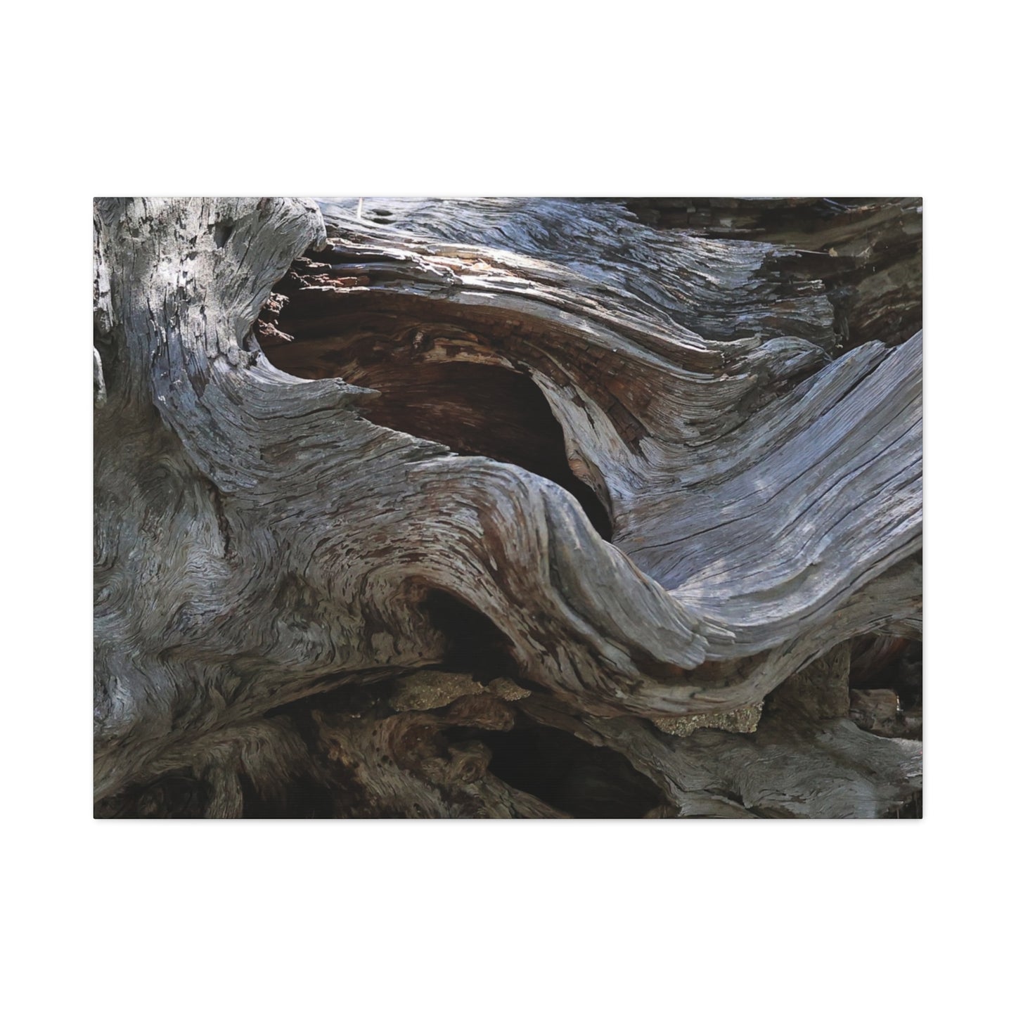 Twisted Fate - Unique Frameless Canvas Wall Art