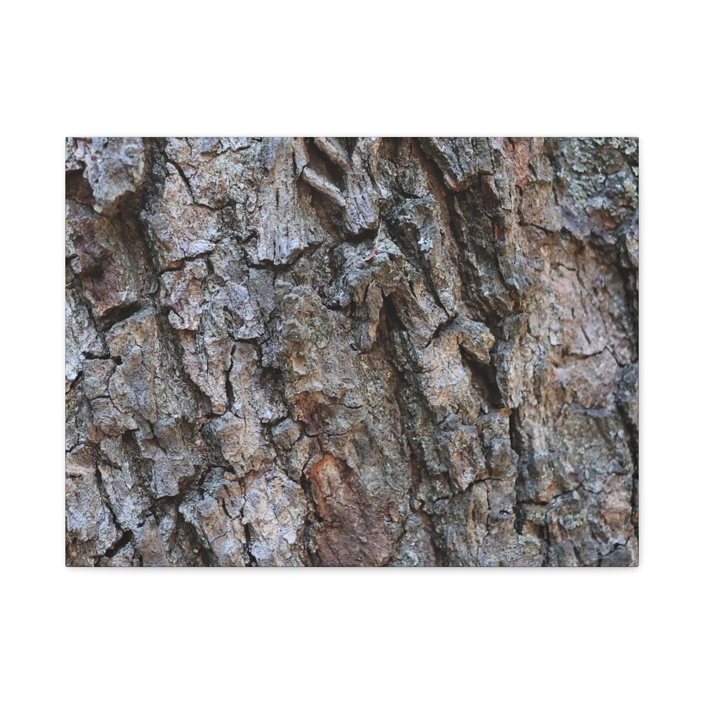 Rugged Canvas - Unique Frameless Canvas Wall Art