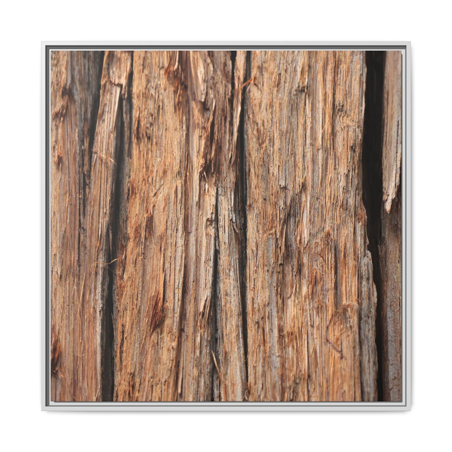 Timber Echoes - Unique Stretched Canvas Wall Art