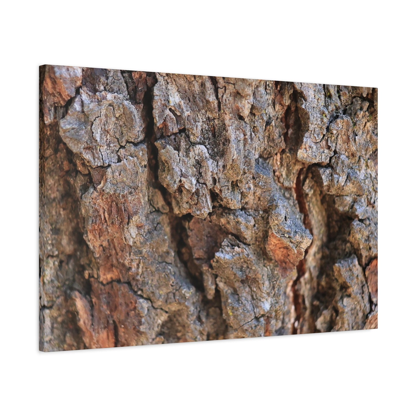 Nature's Skin - Unique Frameless Canvas Wall Art