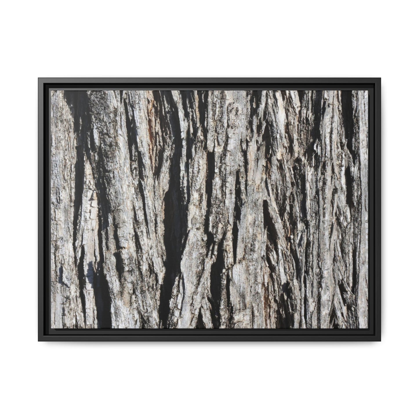 Bark Lines - Unique Stretched Canvas Wall Art