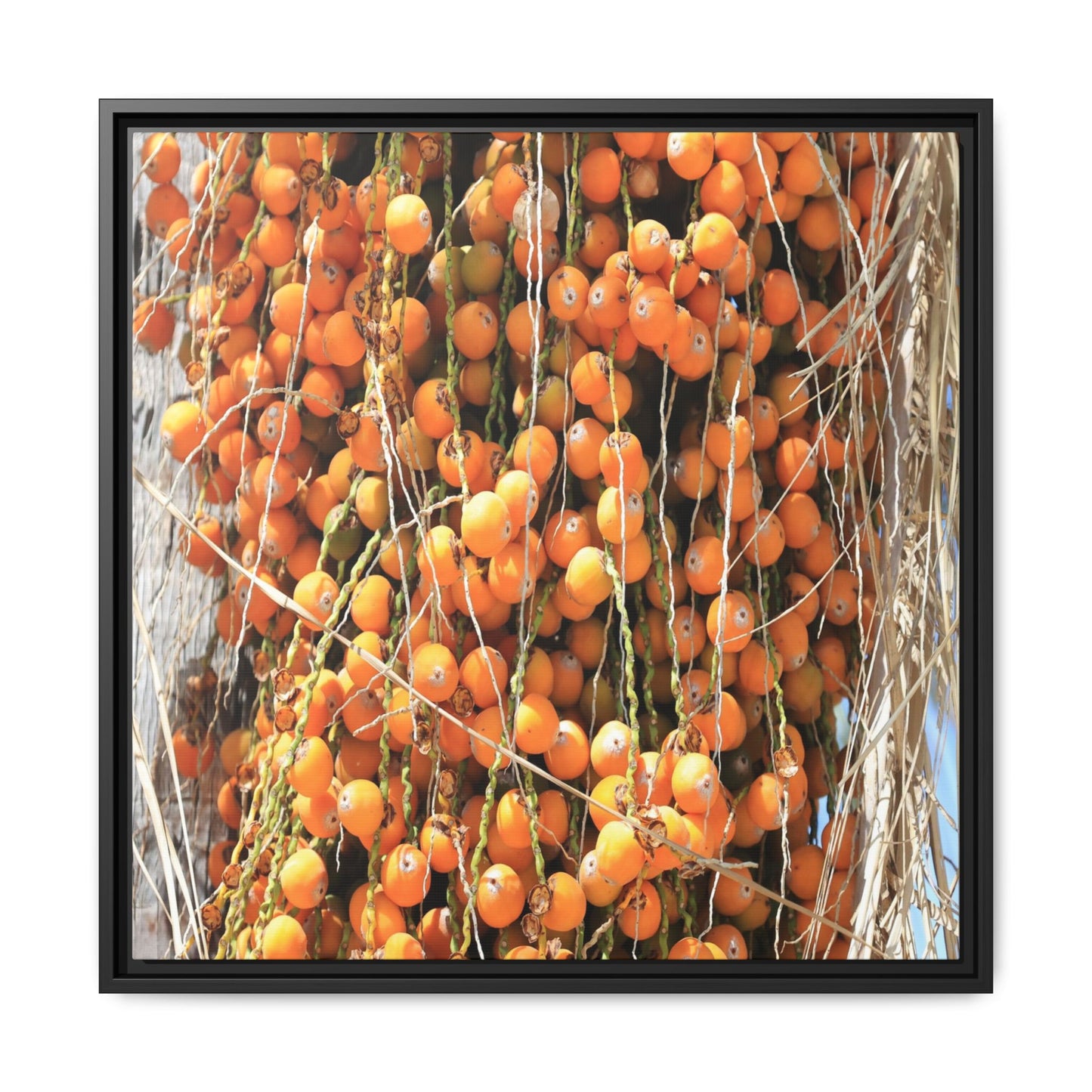 Clusters of Sunlight - Unique Canvas Wall Art