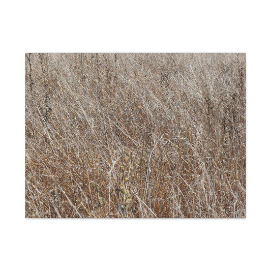 Whispers of Autumn - Unique Frameless Canvas Wall Art - Art By Earth