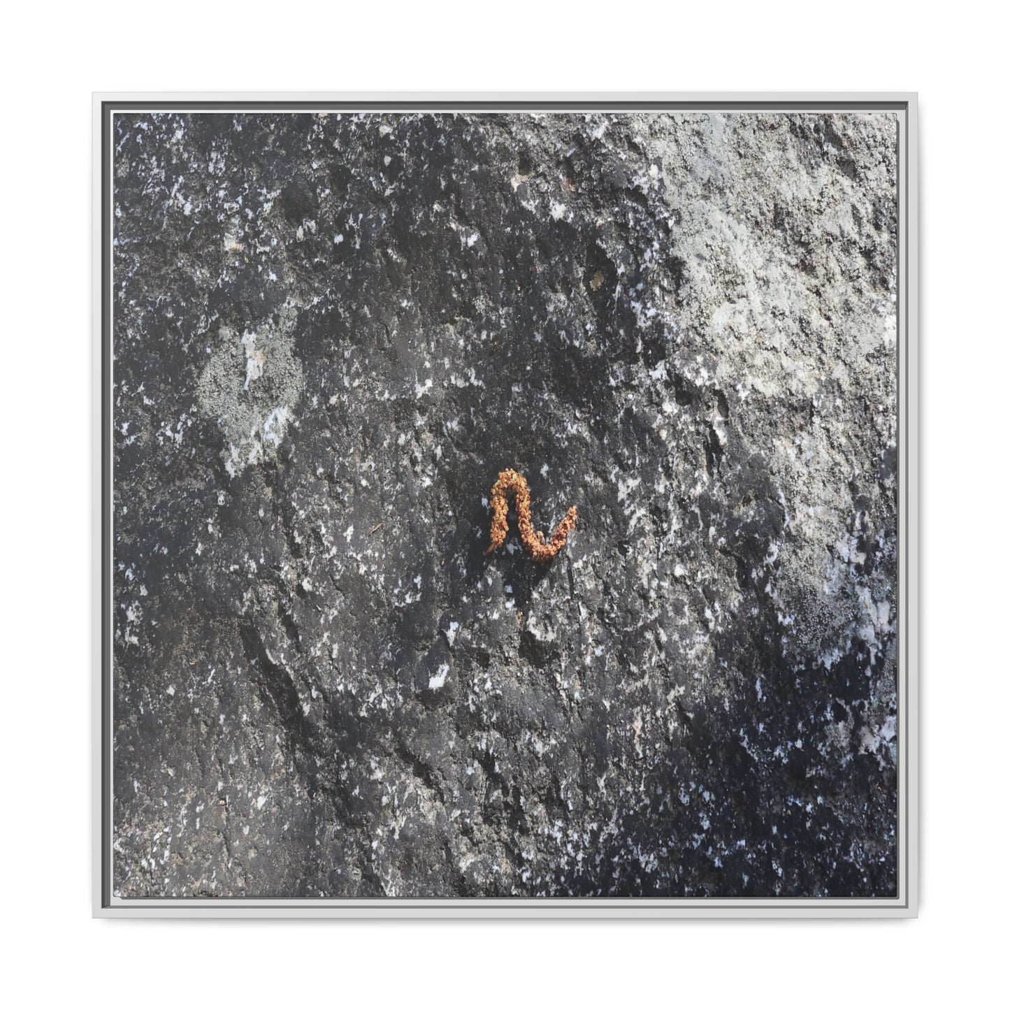 Volcanic Ash and Copper - Unique Stretched Canvas Wall Art