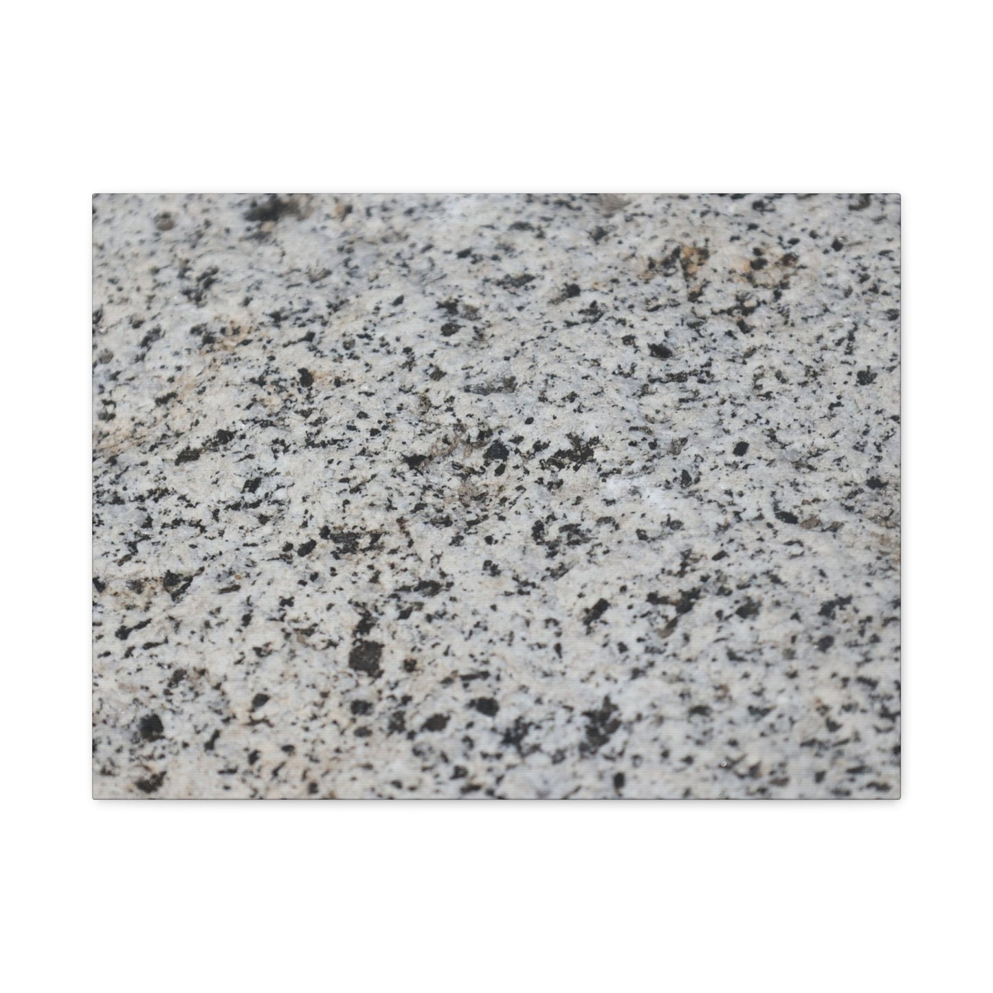 Speckled Silence - Unique Frameless Canvas Wall Art