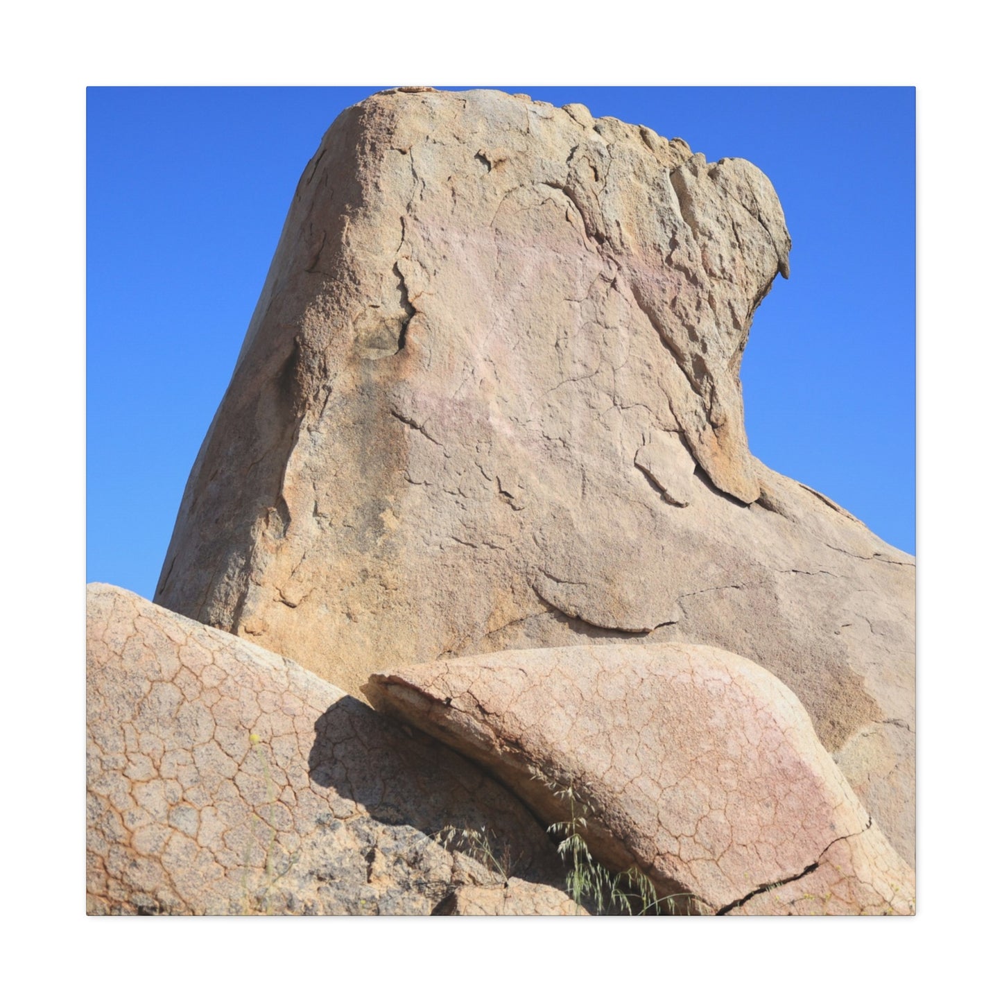 Boulder's Embrace - Unique Frameless Canvas Wall Art