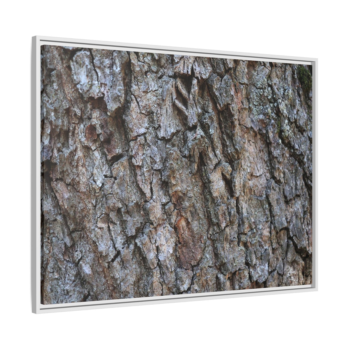 Woodland Skin - Unique Stretched Canvas Wall Art