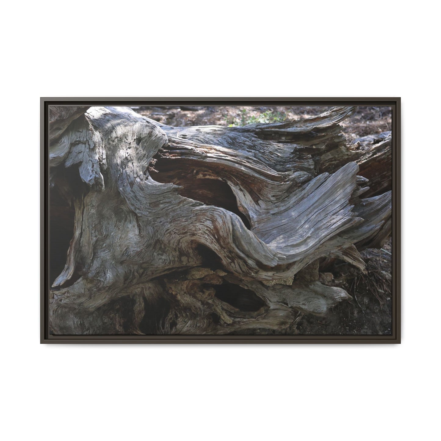 Twisted Memories - Unique Stretched Canvas Wall Art