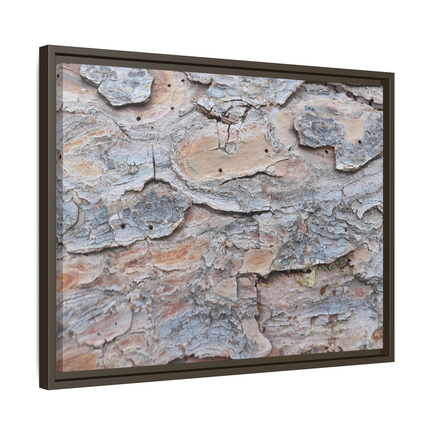 Peeling Memories - Unique Stretched Canvas Wall Art