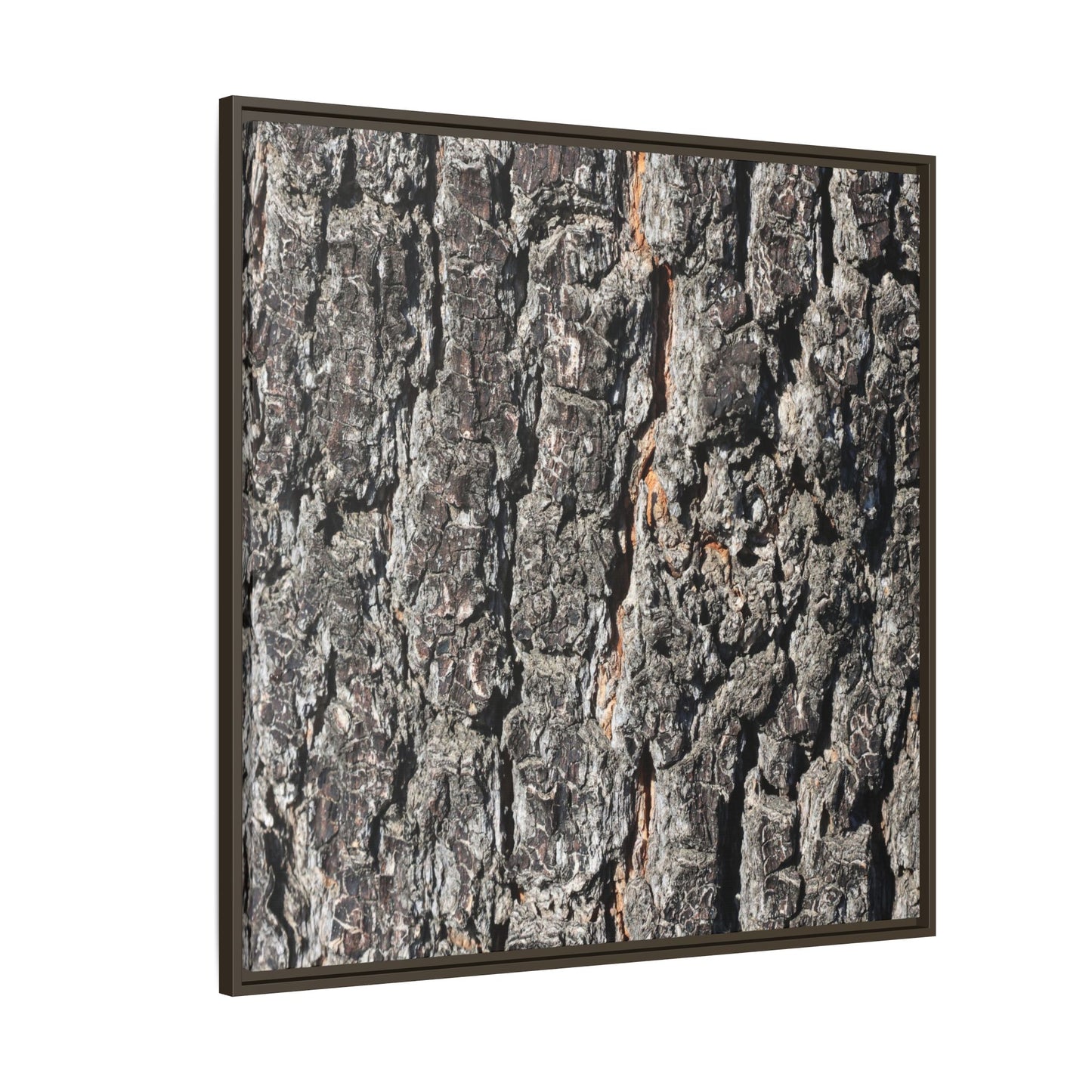 Aged Beauty - Unique Stretched Canvas Wall Art
