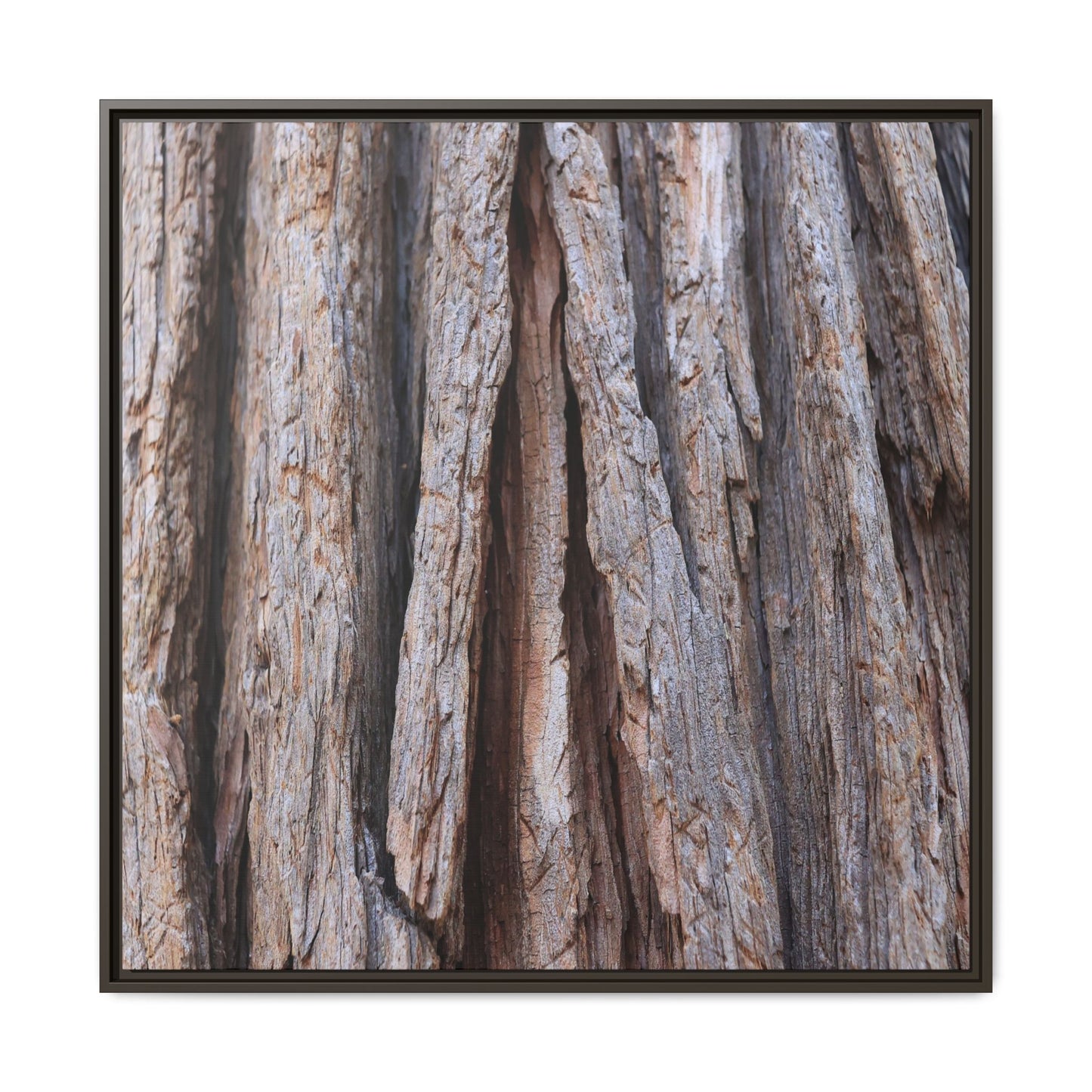 Nature's Sculpture - Unique Stretched Canvas Wall Art