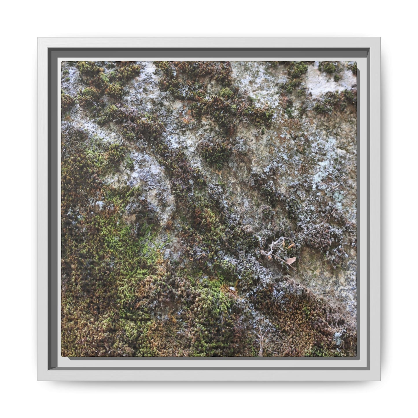 Mossy Whispers - Unique Stretched Canvas Wall Art