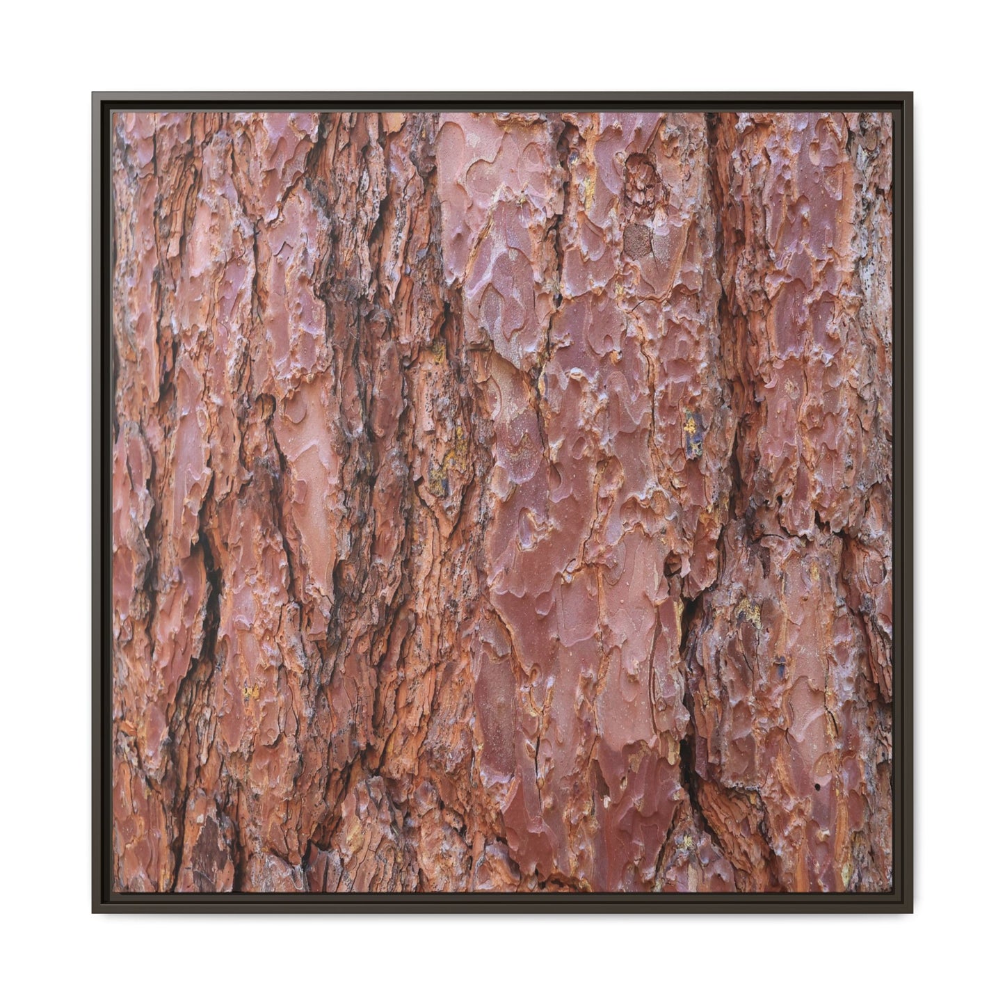 Russet Ridges - Unique Stretched Canvas Wall Art