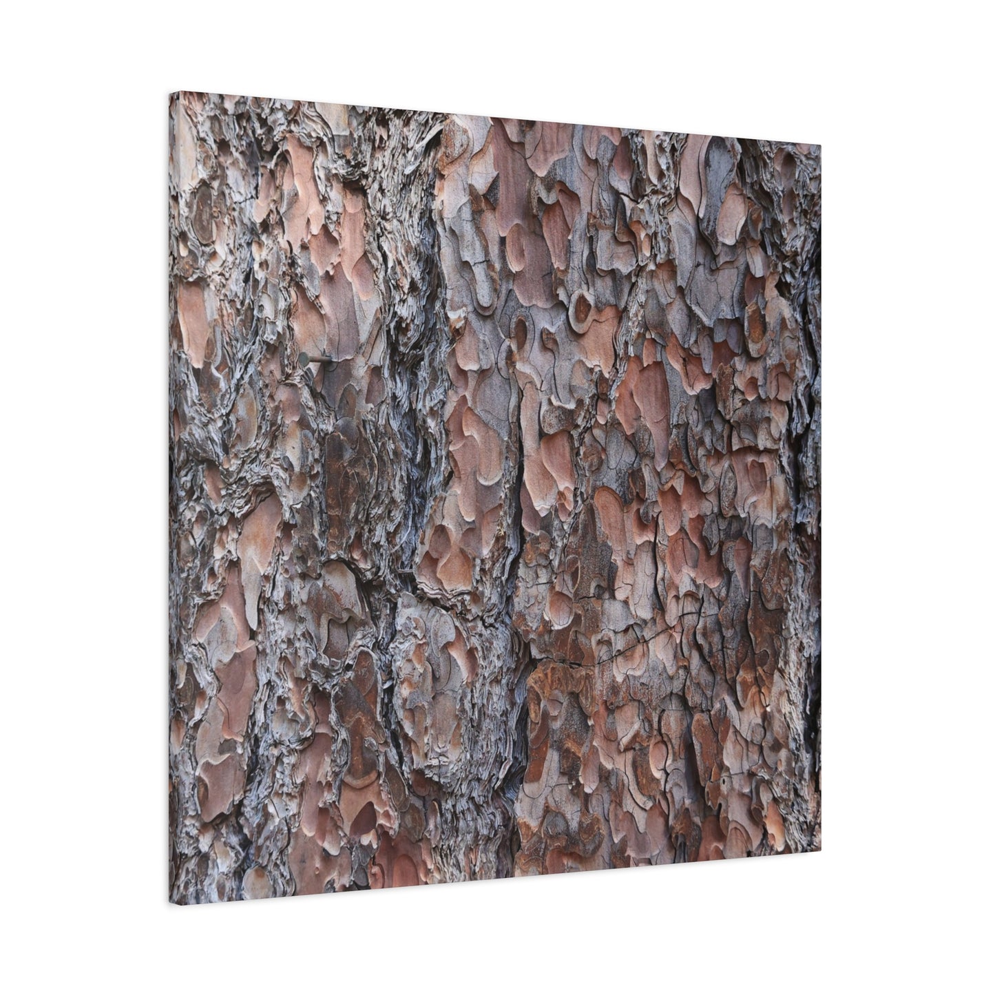 Woodland Armor - Unique Frameless Canvas Wall Art