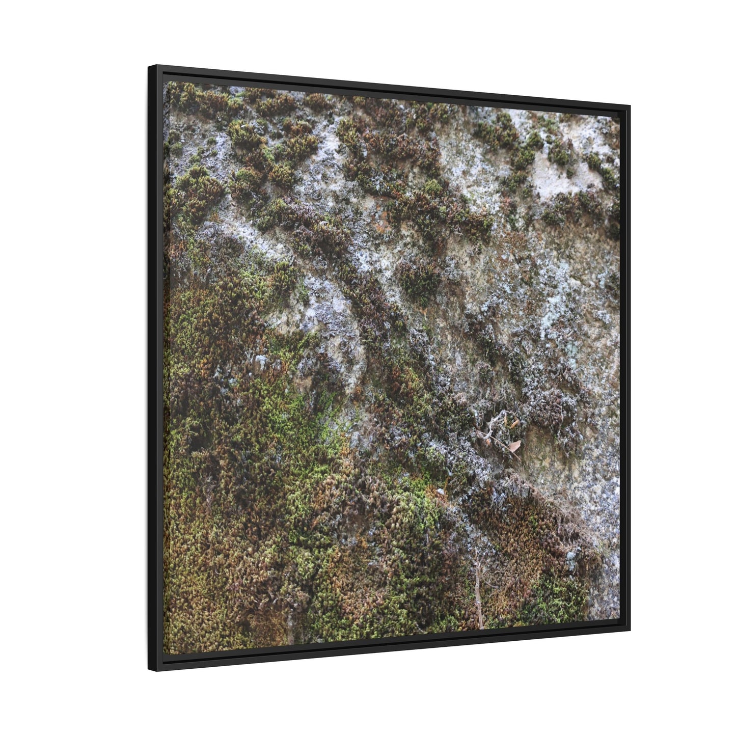 Mossy Whispers - Unique Stretched Canvas Wall Art