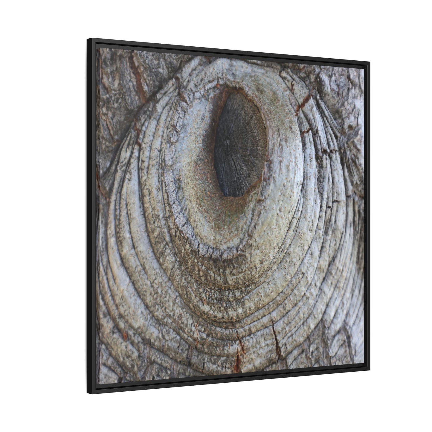 Echoes of Time - Unique Stretched Canvas Wall Art