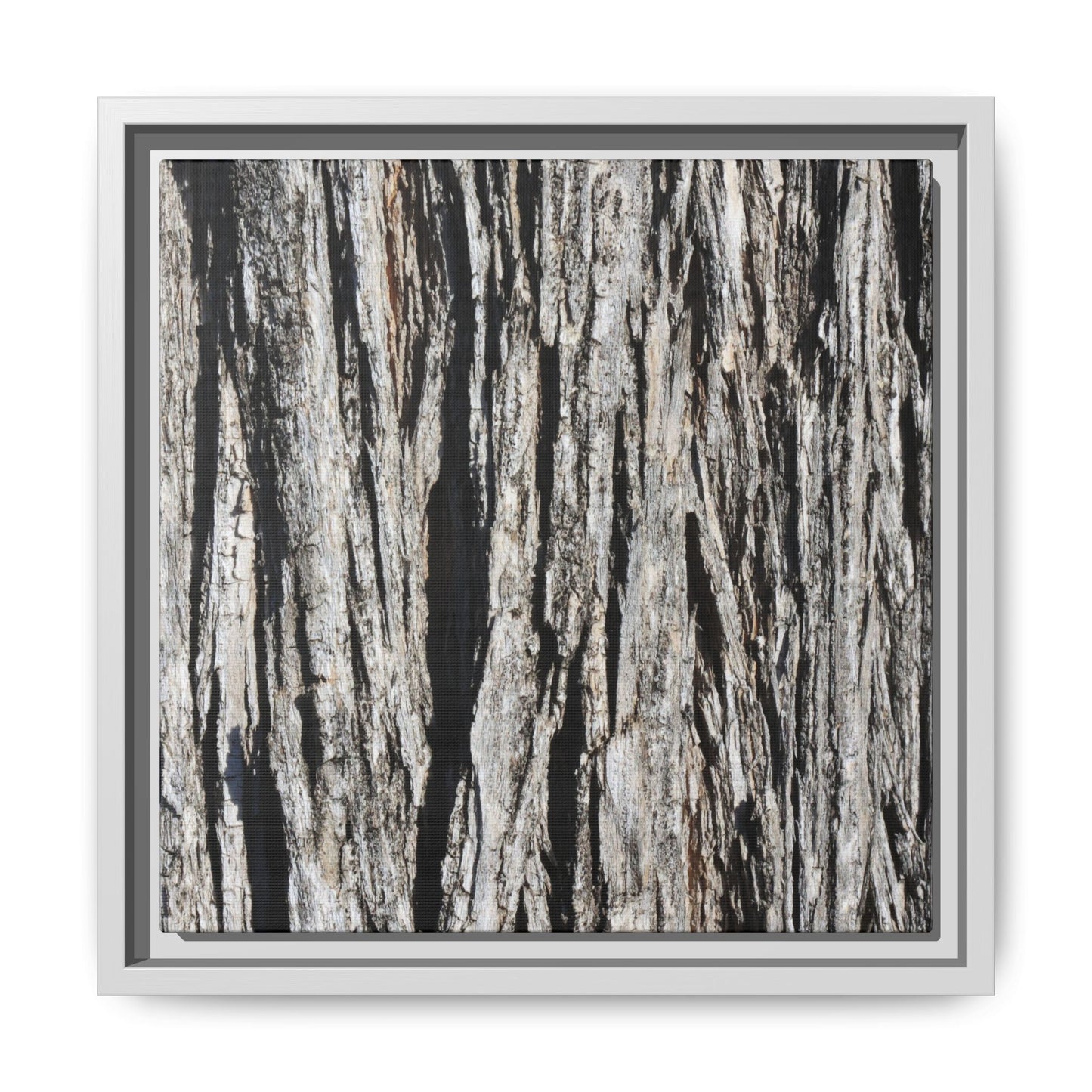 Bark Lines - Unique Stretched Canvas Wall Art