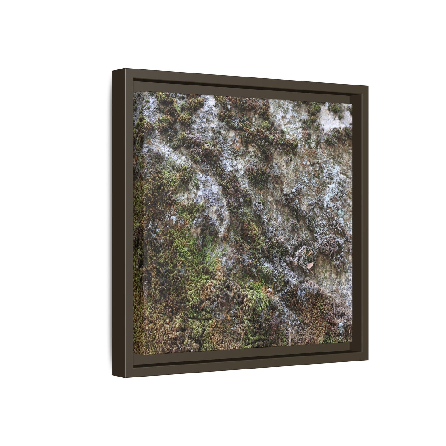 Mossy Whispers - Unique Stretched Canvas Wall Art