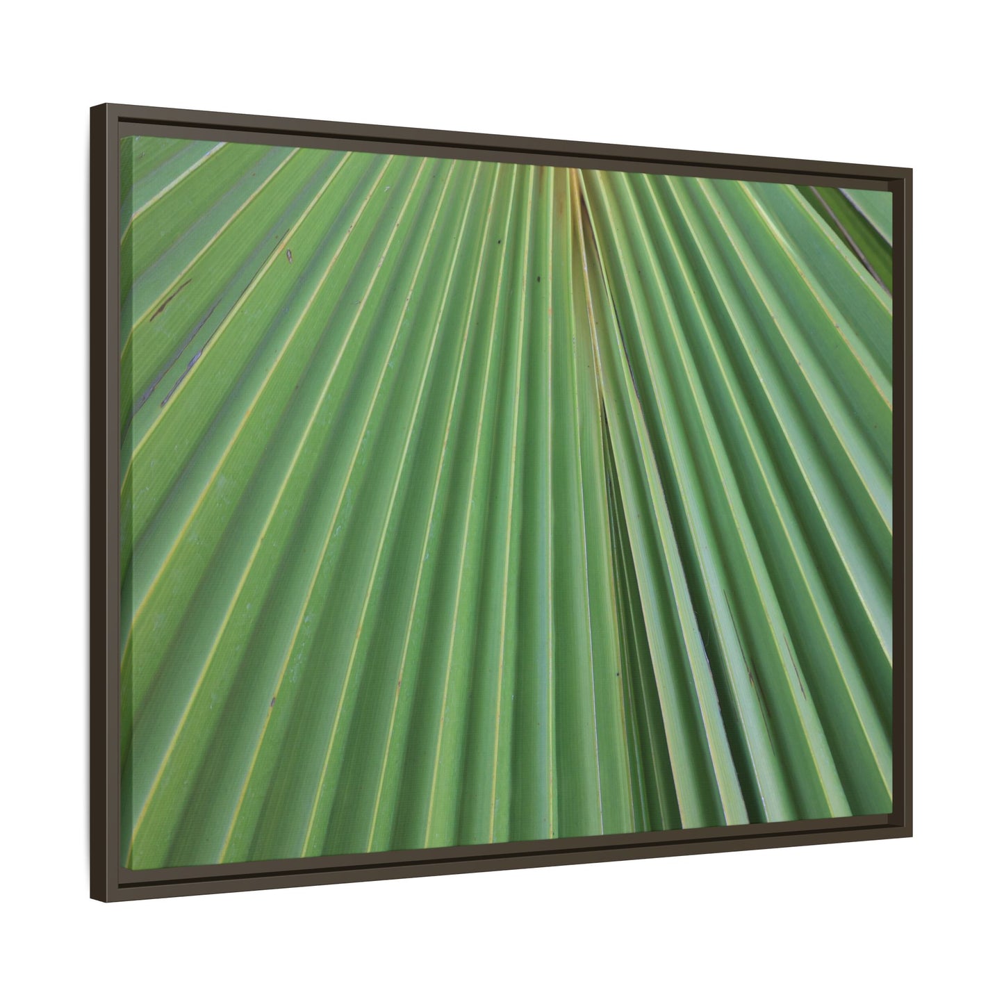 Verdant Veins - Unique Stretched Canvas Wall Art