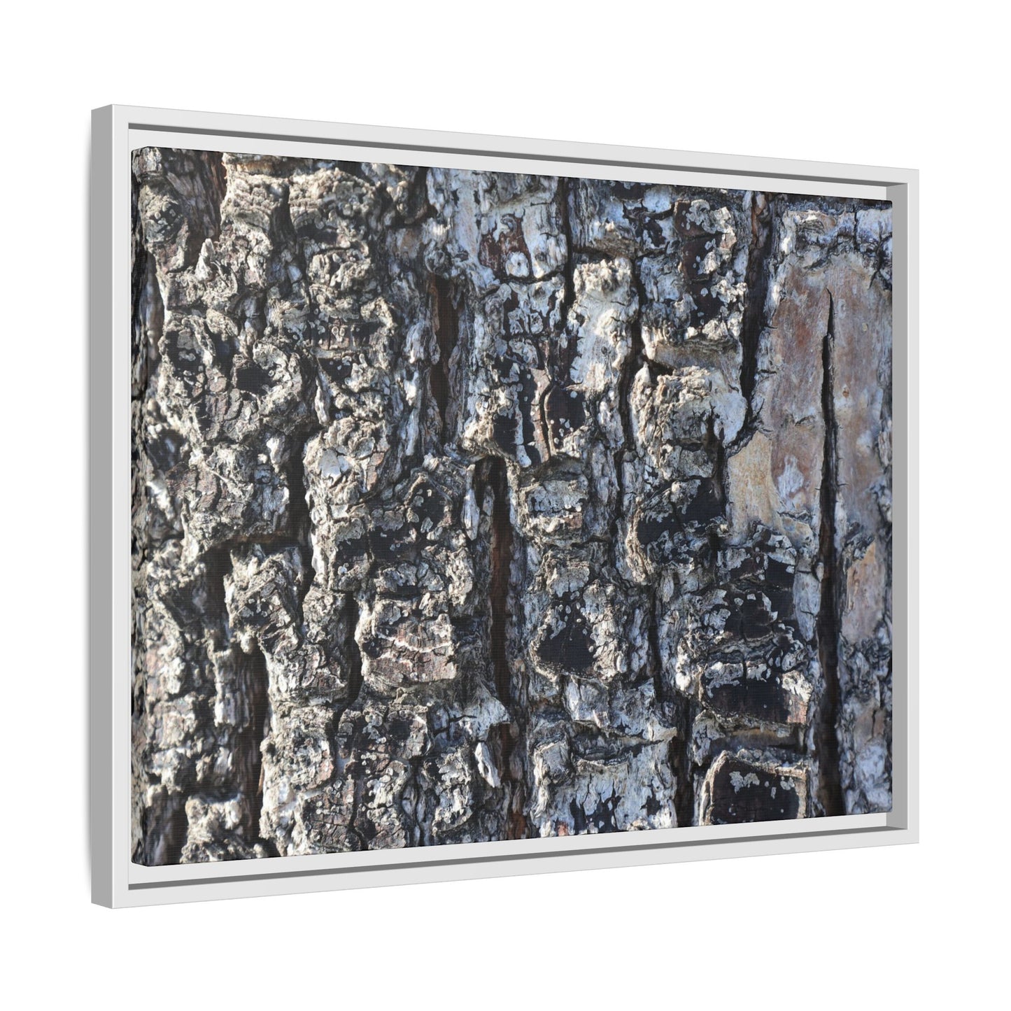 The Bark Chronicles - Unique Stretched Canvas Wall Art