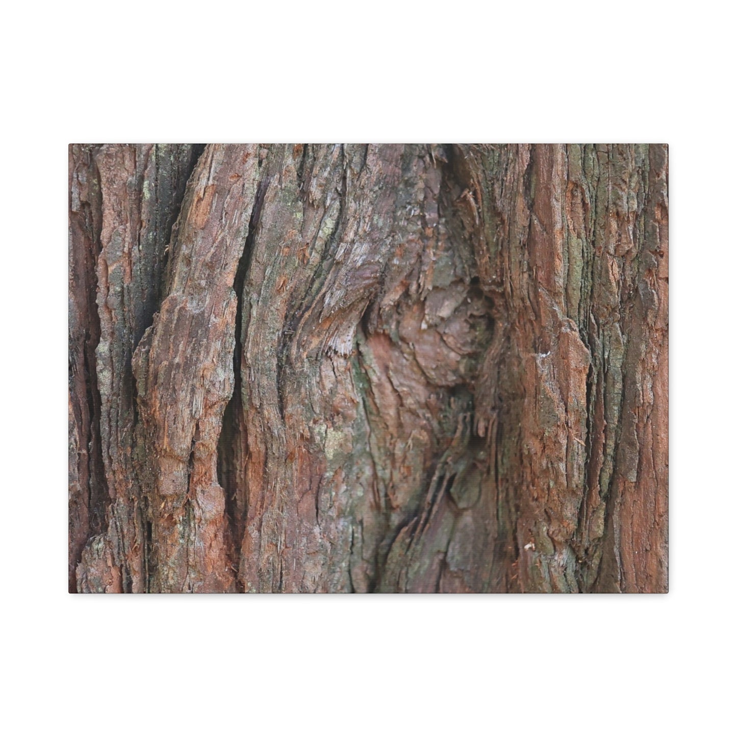 Rustic Embrace - Unique Frameless Canvas Wall Art