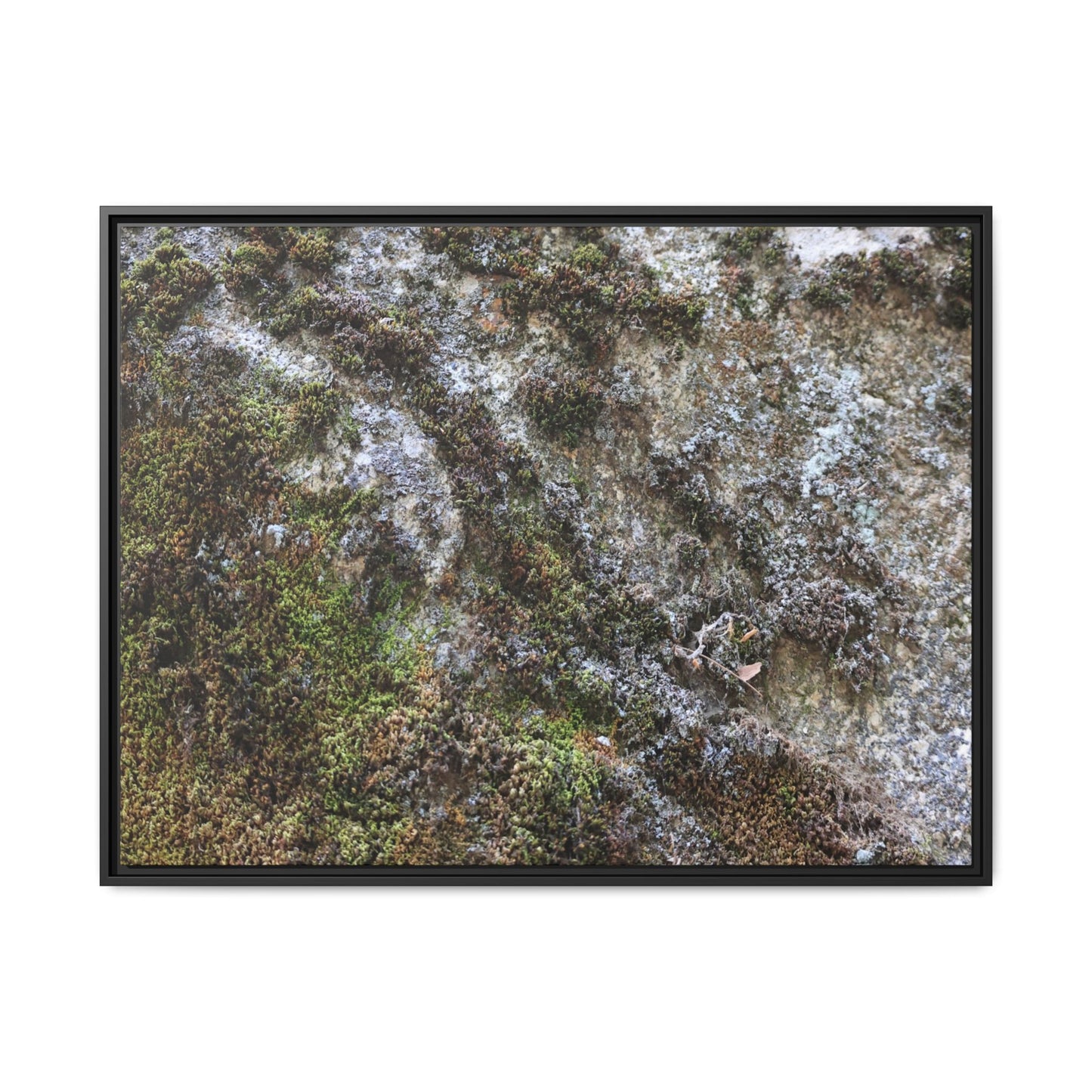 Mossy Whispers - Unique Stretched Canvas Wall Art