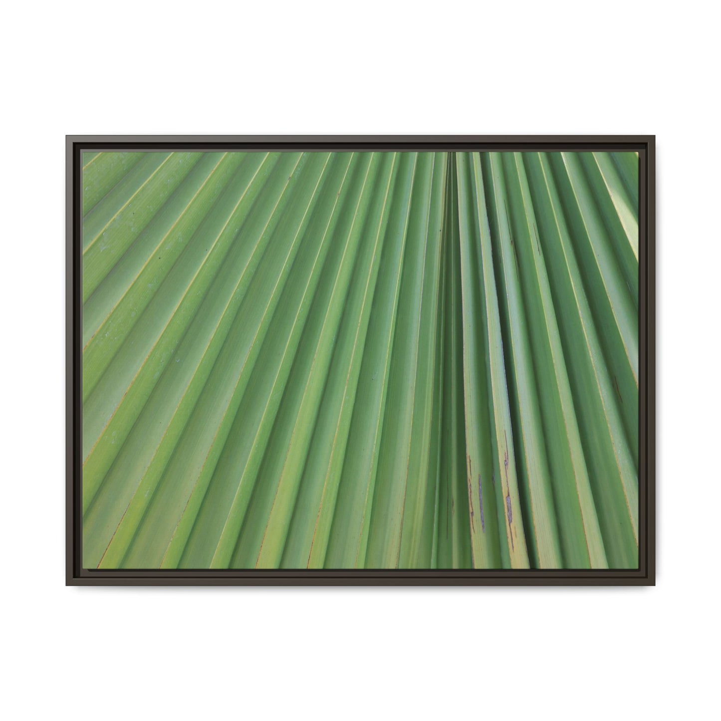 Emerald Rays - Unique Stretched Canvas Wall Art