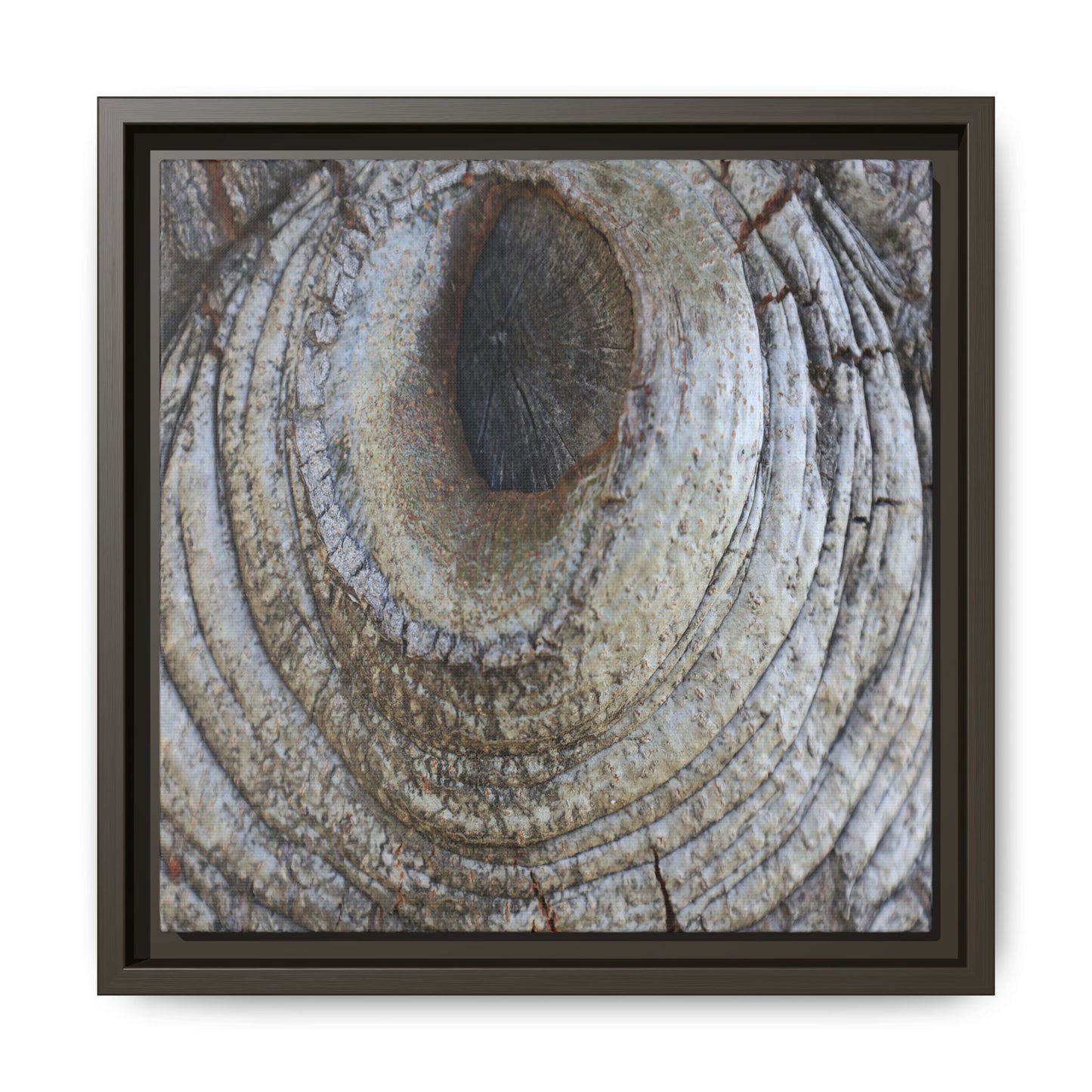 Echoes of Time - Unique Stretched Canvas Wall Art