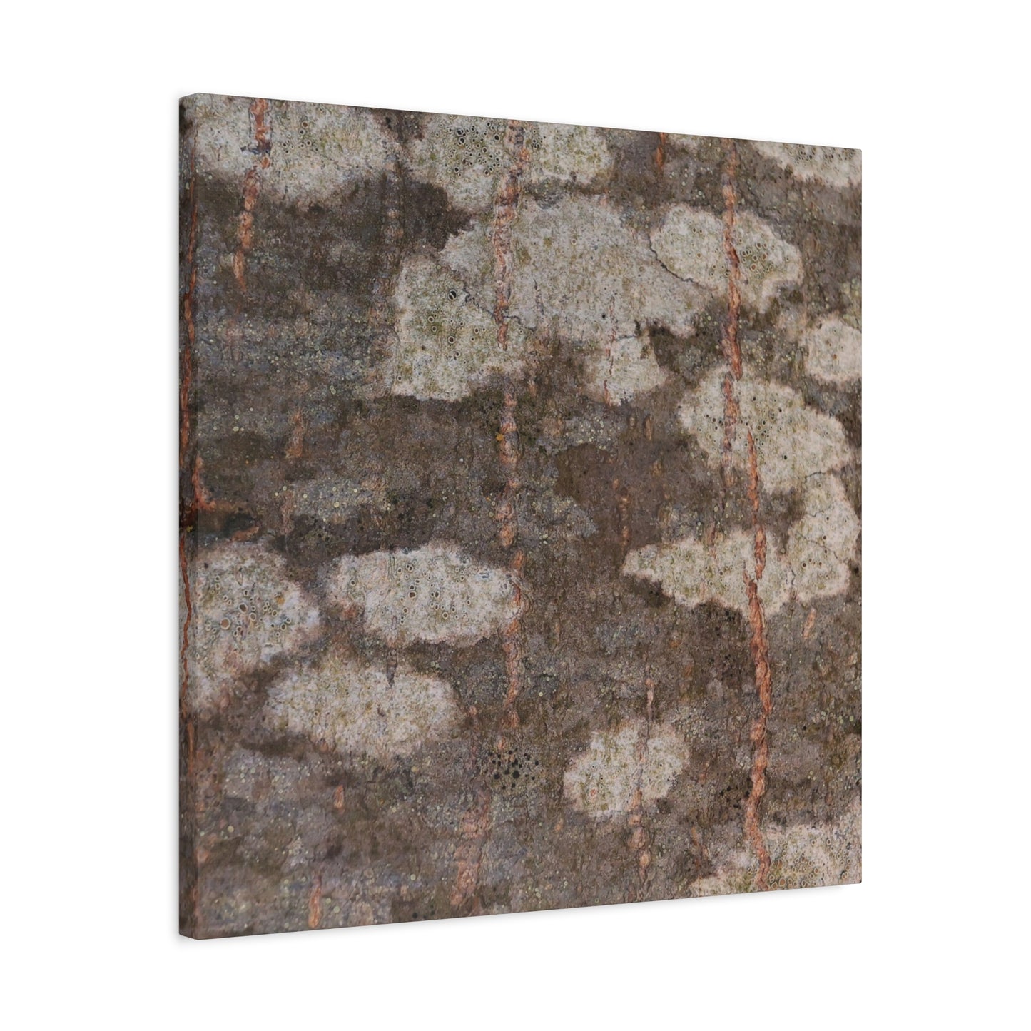 Earthen Memoir - Unique Frameless Canvas Wall Art