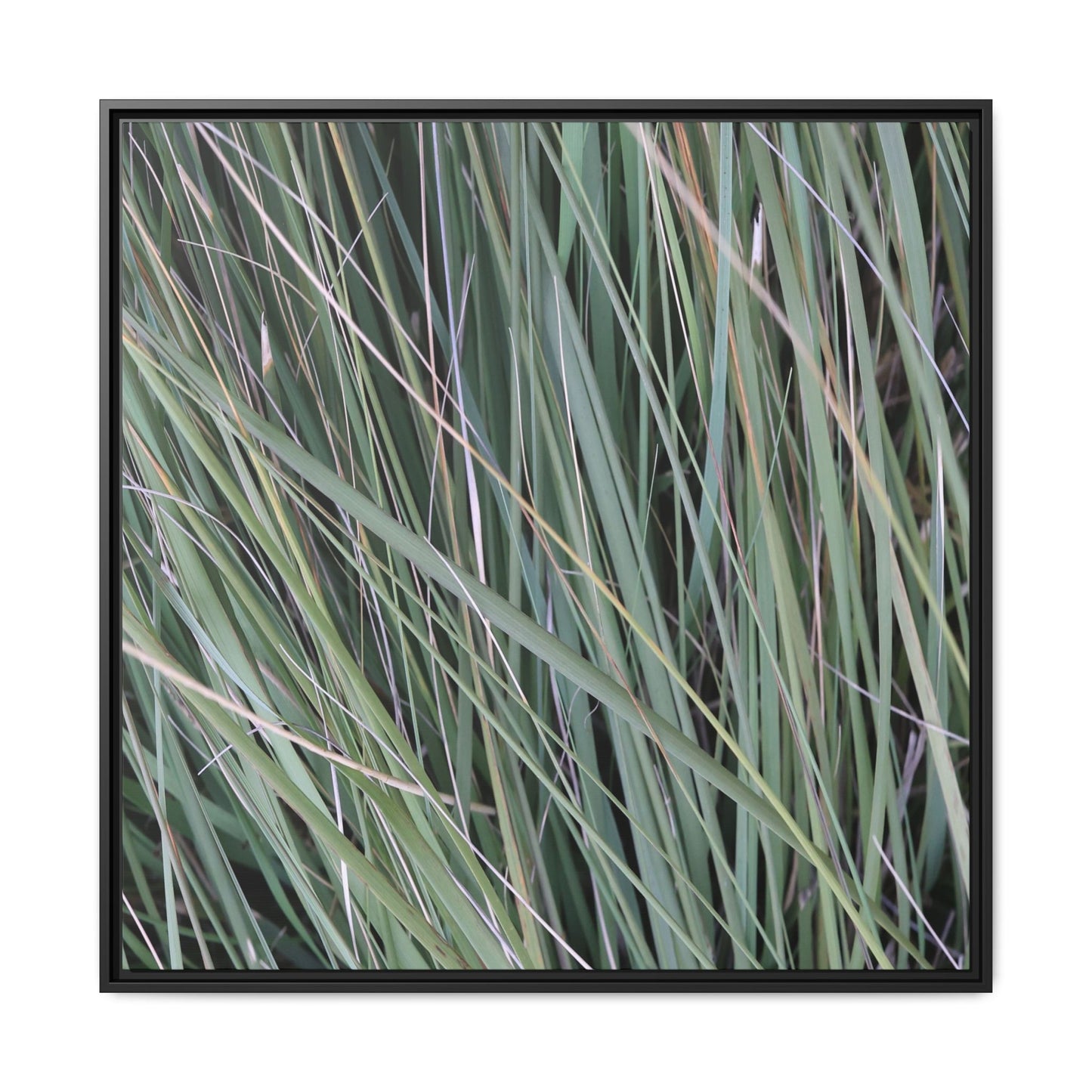 Grassland Symphony - Unique Stretched Canvas Wall Art